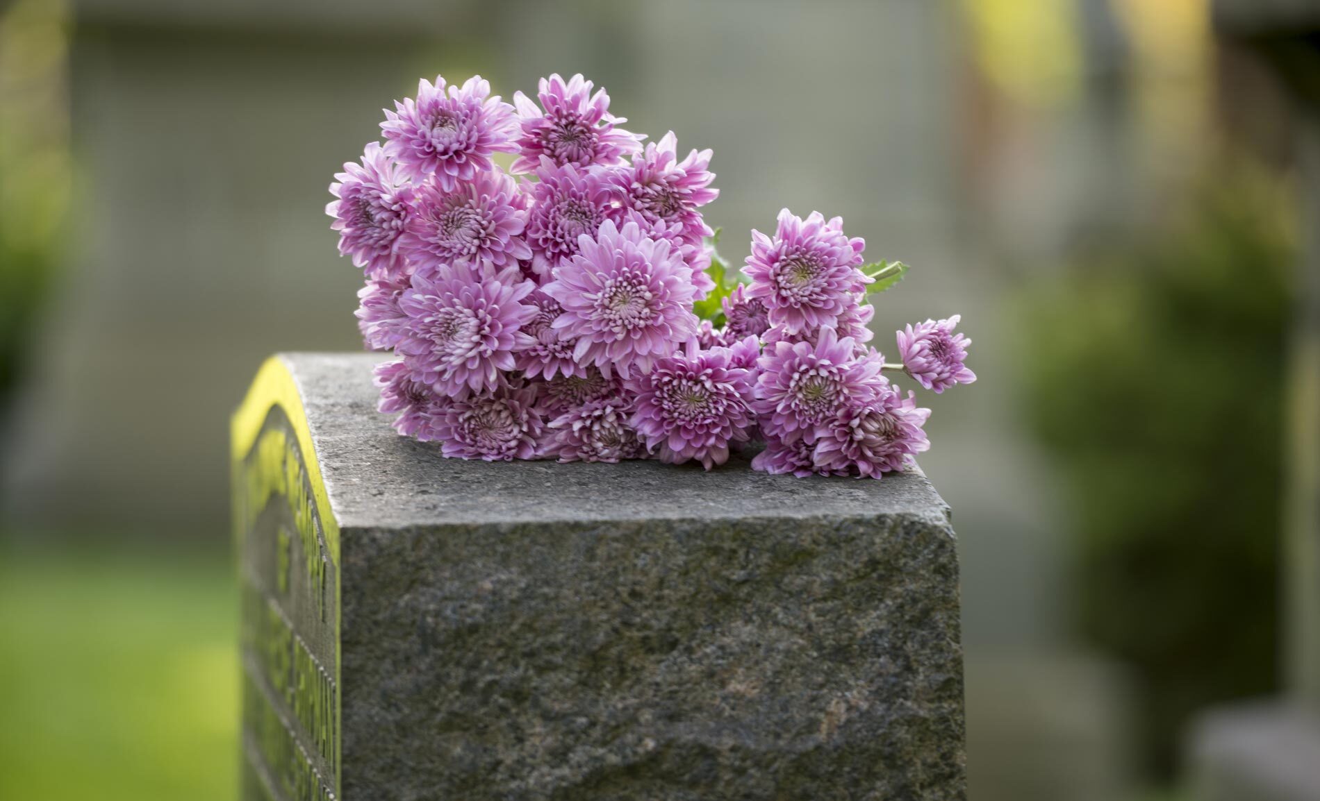 Gravestone Purple Flowers